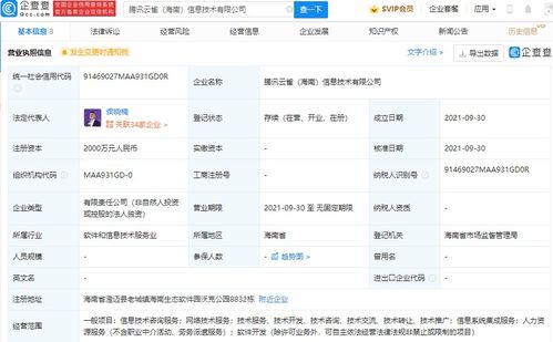 信息系統(tǒng)集成服務(wù) 構(gòu)建高效與智能的未來